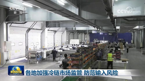 筑牢安全防线 各地强化冷链食品监管 守护公众健康