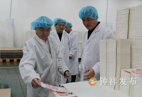 杨孟富深入调研重点企业 助推食品生产经营高质量发展