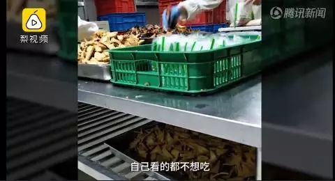 卧底实拍曝光 外卖生产过程背后的触目惊心真相与食品技术开发的反思
